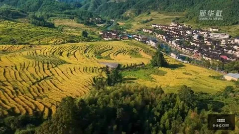 电竞鞋新品上，半岛网页版，市，引领电竞时尚潮流